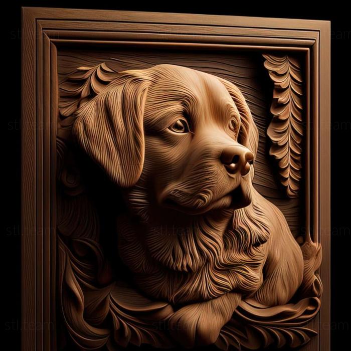 3D модель Шапендуа собака (STL)